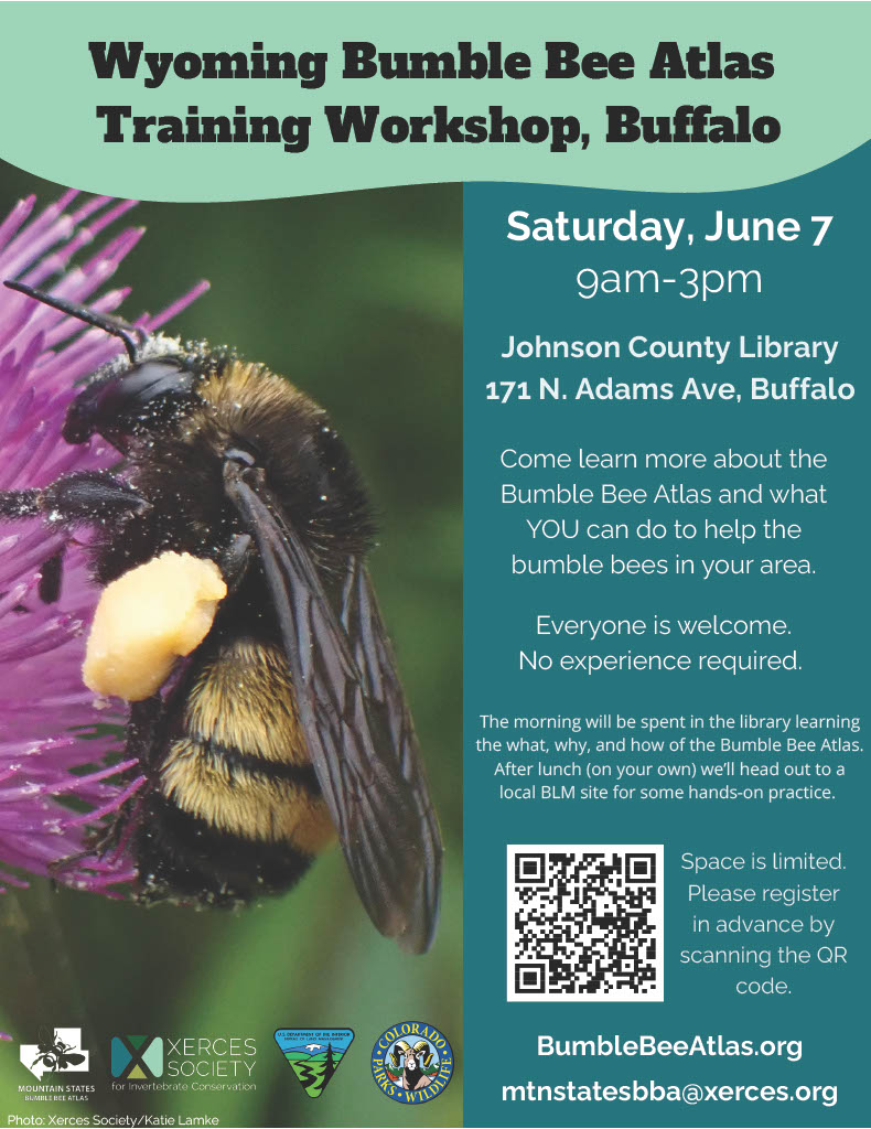 Wyoming Bumble Bee Atlas Training Workshop, Buffalo Image